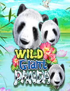 เล่น เกมส์ ให้ ได้ เงิน กับ CQ9 ค่ายขวัญใจนักพนัน